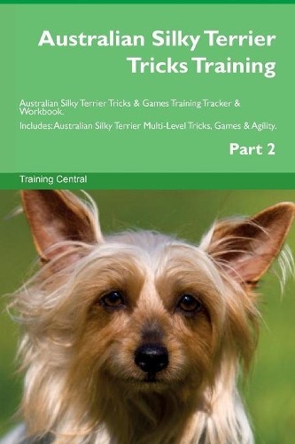 Australian silky terrier - australian,