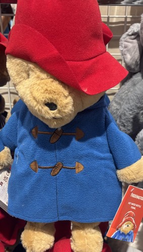 Paddington bear hot - hot, water