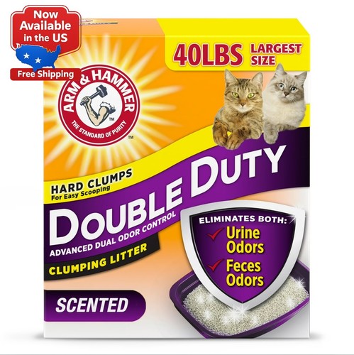 Arm hammer double - (2, &