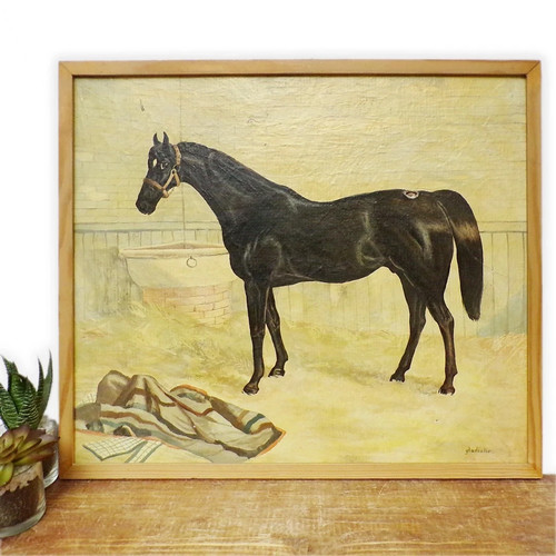 Equestrian show jumping horse - show,