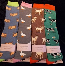 Animal  Cow Goat Duck Pig