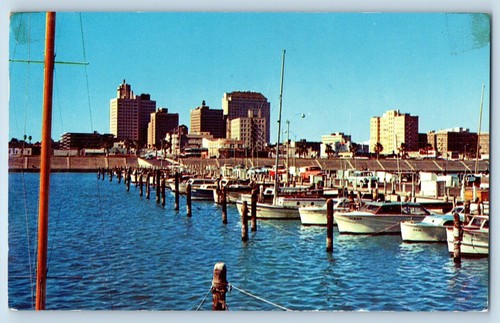 Corpus christi texas - christi,