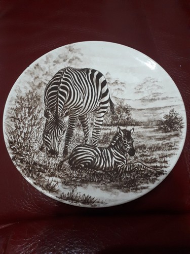 Poole pottery england zebra - pottery,
