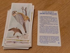 Brooke bond tea cards - tea,