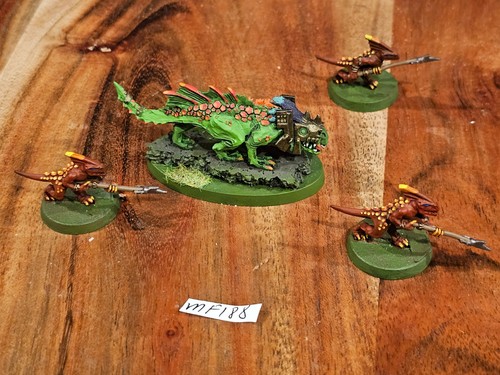 Warhammer fantasy aos seraphon - aos,