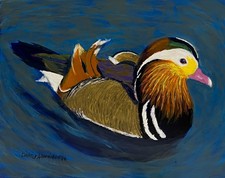Duck, Mandarin Duck, water
