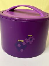 Aladdin Bento Lunch Box 0.6L Purple