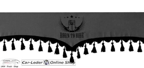 Front windshield curtains