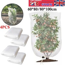 4PCS Garden Plant Tree Fruit