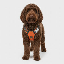 Premium No Pull Dog Harness -