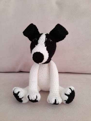 Jack russell dog hand - jack,