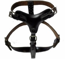 Plain Black Extra Large Heavy