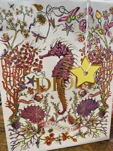 Dior holiday 2024 shopping
