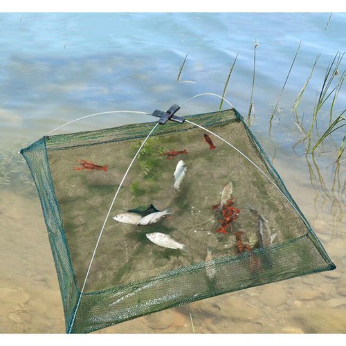Fishing bait foldable net - bait, trap