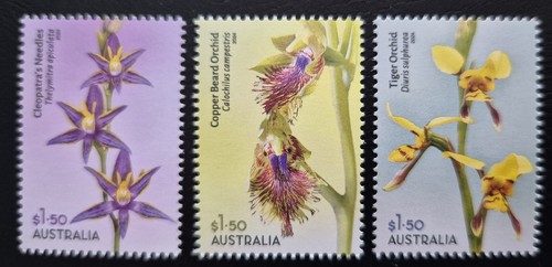 Australia 2025 flowers - /,