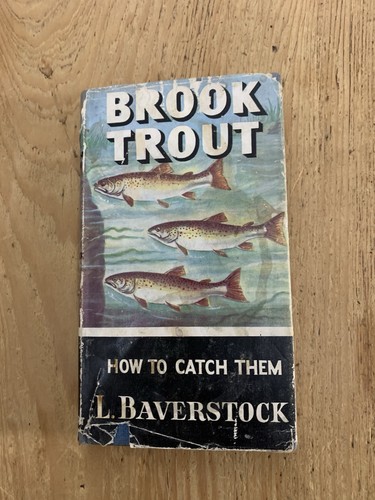 Brook trout how catch them - how, to