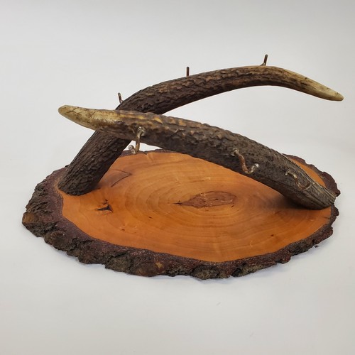 Vtg deer antler - vtg,