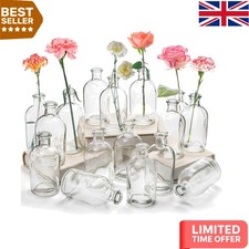 Elegant 16 Pack Clear Glass