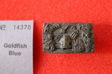 Citadel Dungeon Equipment