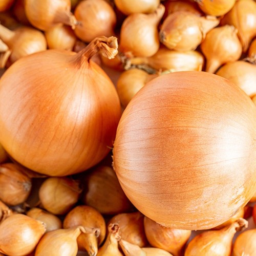 Yellow onion sets - yellow,