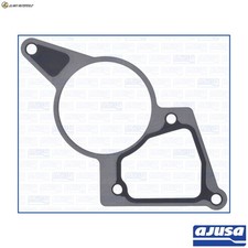 Vacuum Pump Gasket 01205900