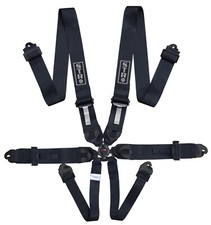 Black 6-Point Race Harness FIA