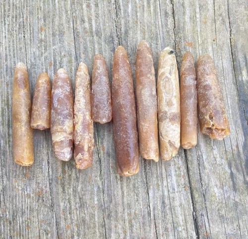 Natural belemnite fossils - natural,