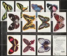 LYONS (ICE CREAM & TEA)-FULL