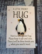 Cute Penguin pocket hug always with you  appreciation love kind gift 