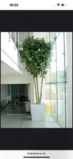 Large High Quality Artificial Trees Indoor Outdoor