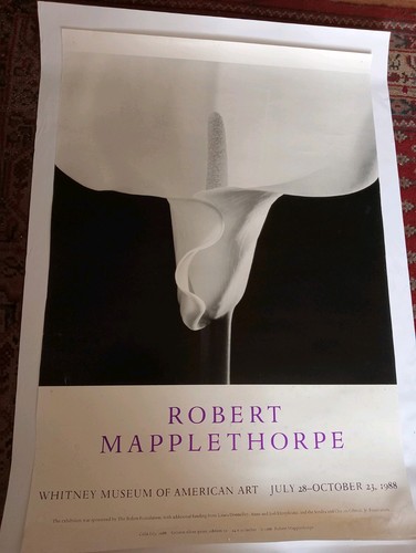 Robert mapplethorpe whitney - robert,