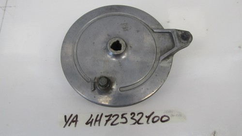 Rear brake plate - plate, ganasce