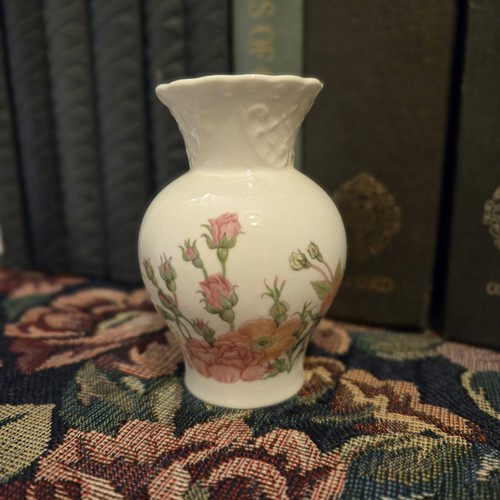 Vintage coalport rose - vintage, garden