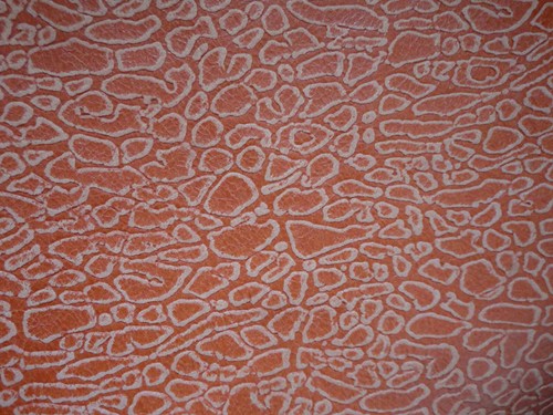 Orange patterned thin pigskin