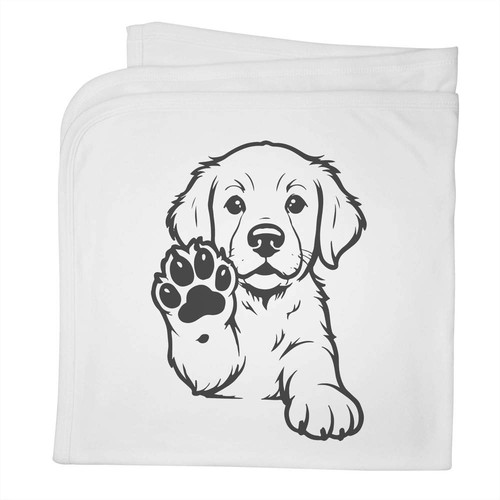 Golden retriever puppy - retriever, puppy'