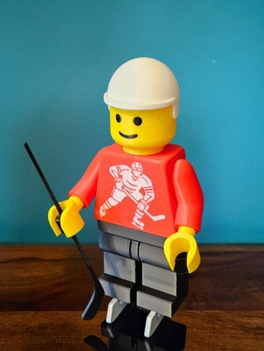 Printed ice hockey brick - printed,