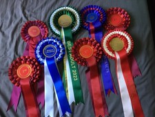 Horse Show Rosettes