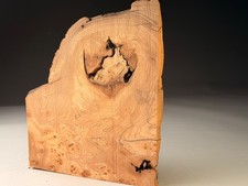Spalted Burr Elm Resin Live