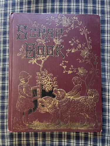 1876 victorian scrapbook - 1876, (17