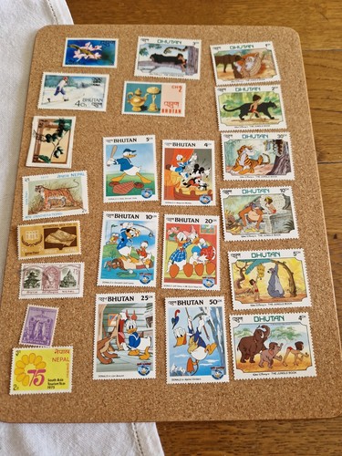 Bundle disney bhutan - of,