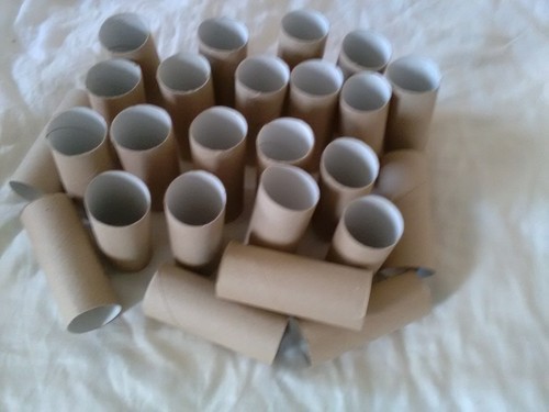 Cardboard toilet roll - cardboard,