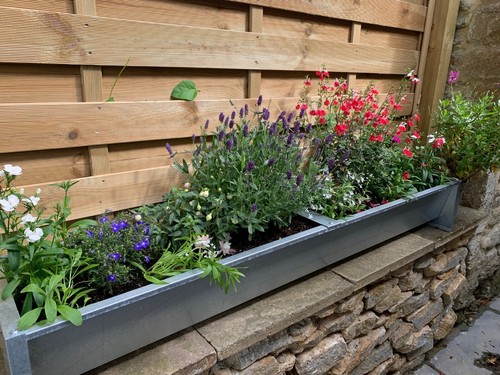 Galvanised garden planter - galvanised,