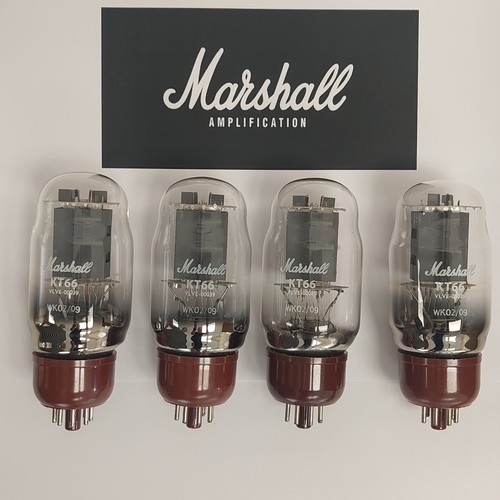 Kt66 original marshall - kt66,