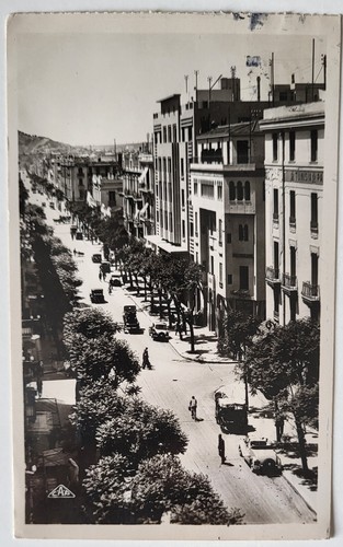 Vtg 1940s rppc bird - vtg, bird's-eye