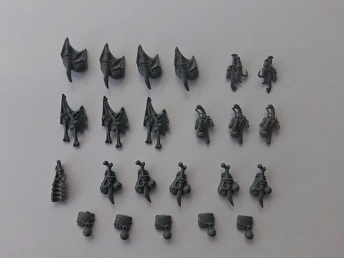 Tau bundle kroot - tau,, carnivores