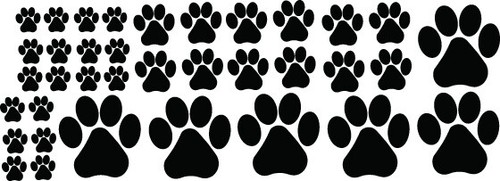 Paw prints dog cat - paw,