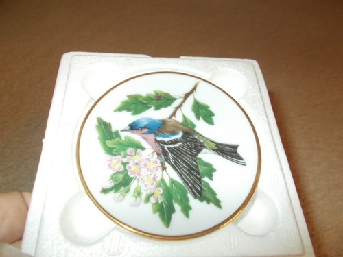 Franklin porcelain song - franklin,