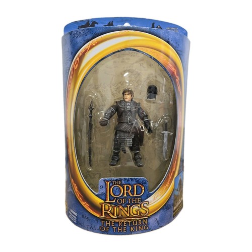 Lord the rings - rings, samwise
