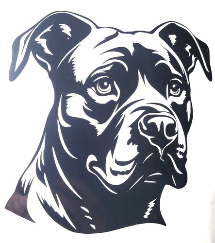 Staffordshire bull terrier - staffordshire,