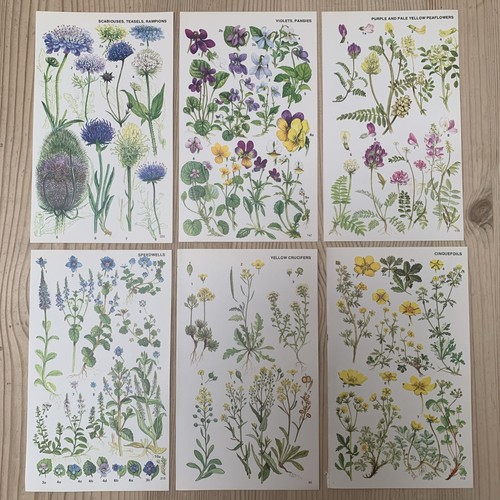 Vintage 1974 botanical book - botanical,
